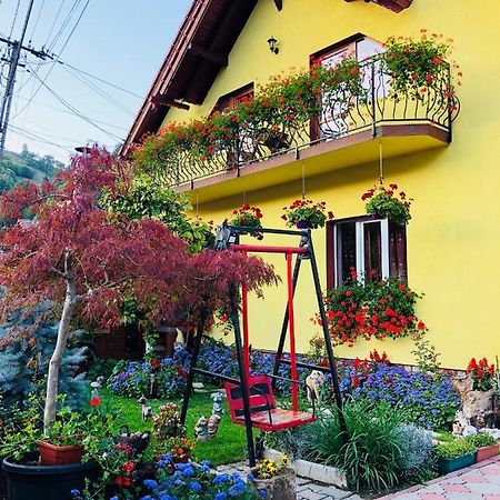 Готель Ika House Пояна-Марулуй Екстер'єр фото