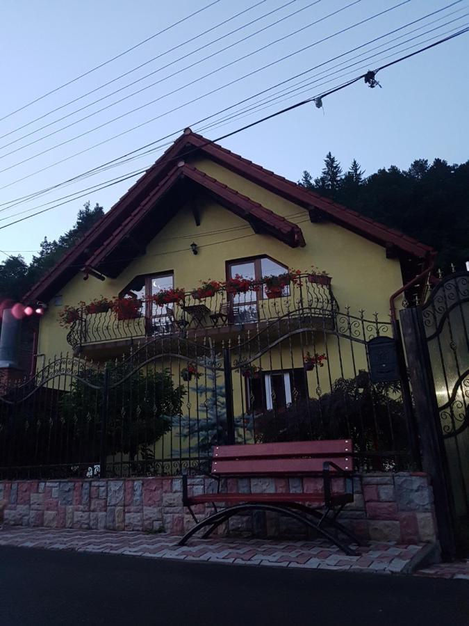 Готель Ika House Пояна-Марулуй Екстер'єр фото